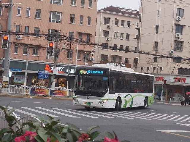 800BUS