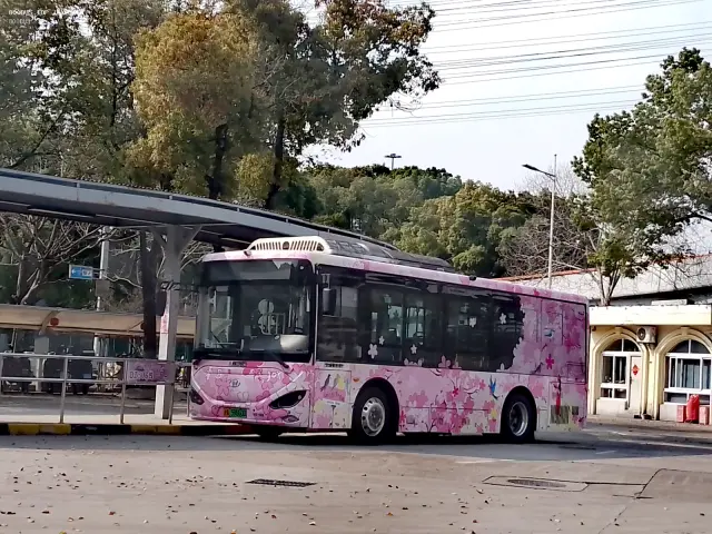 800BUS