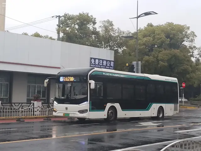800BUS