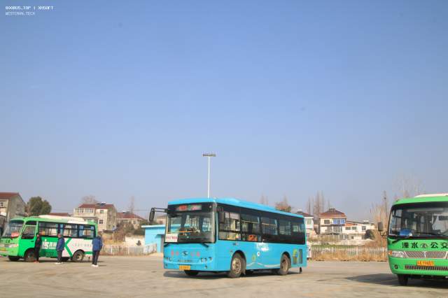 800BUS