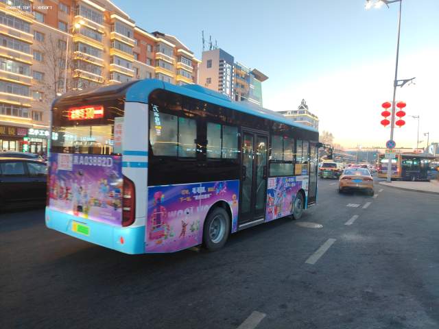 800BUS