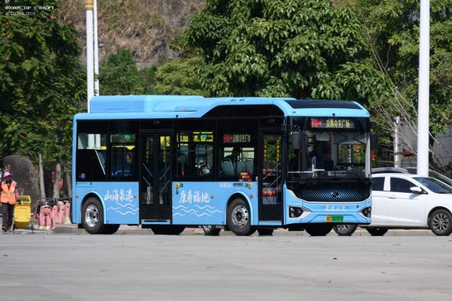 800BUS