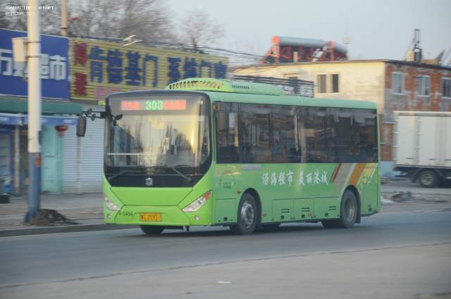 800BUS
