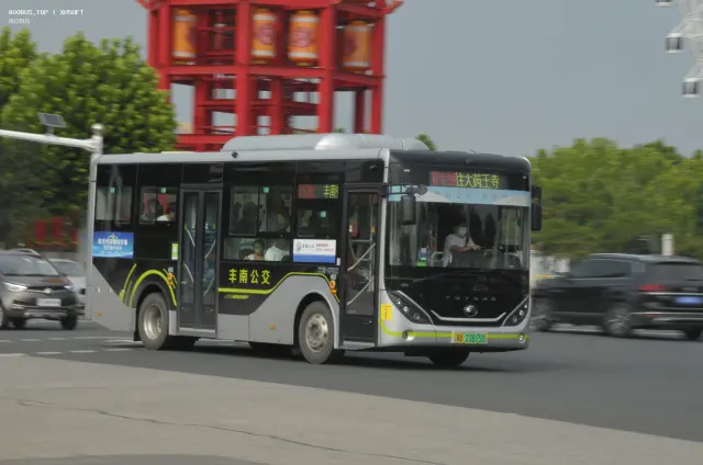 800BUS