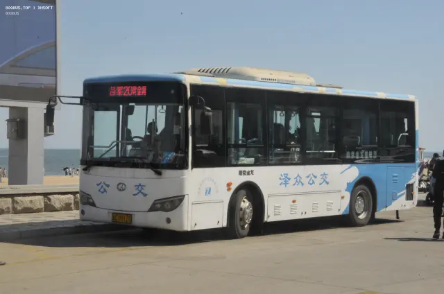 800BUS