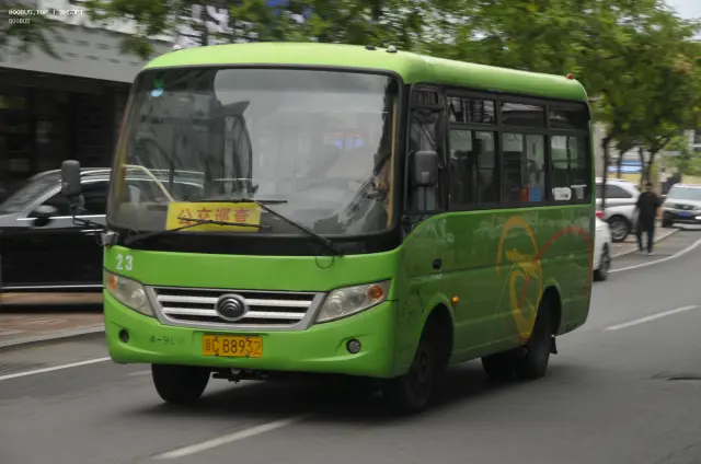 800BUS