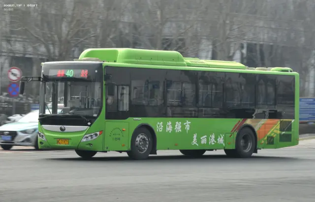 800BUS