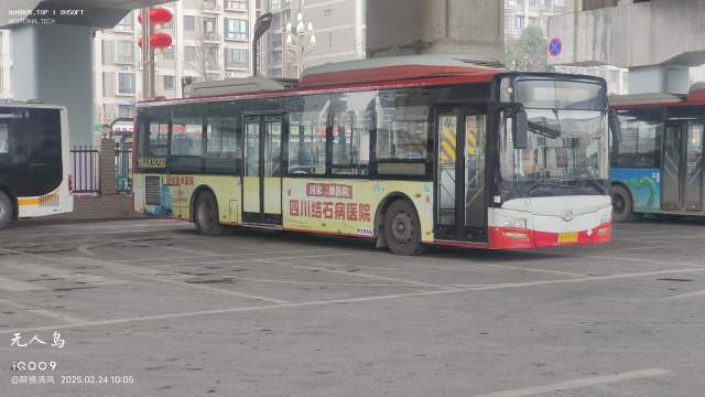 800BUS