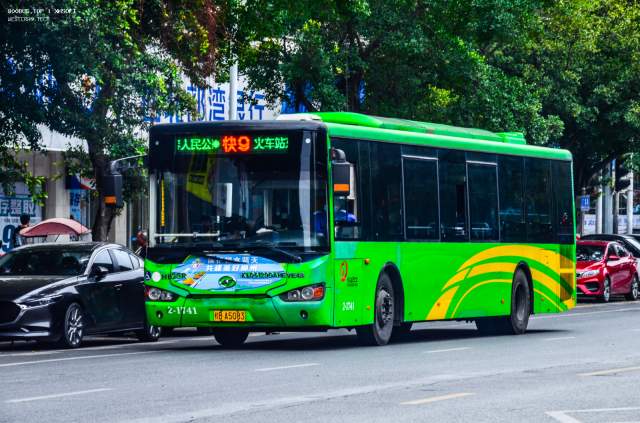 800BUS
