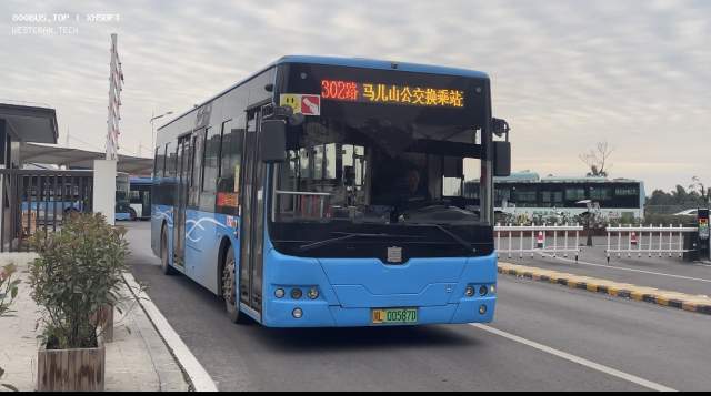 800BUS