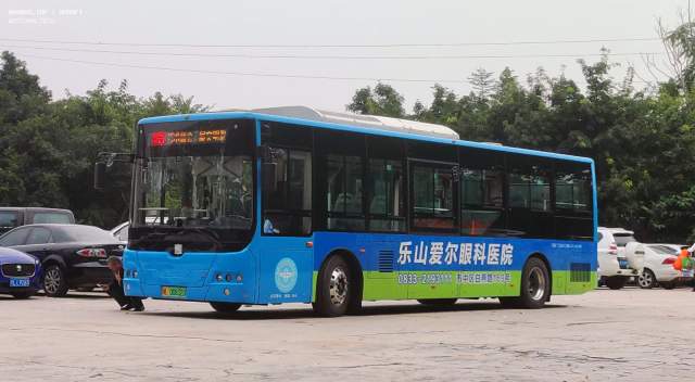 800BUS