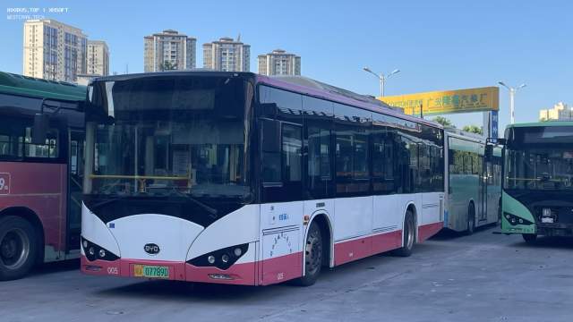 800BUS