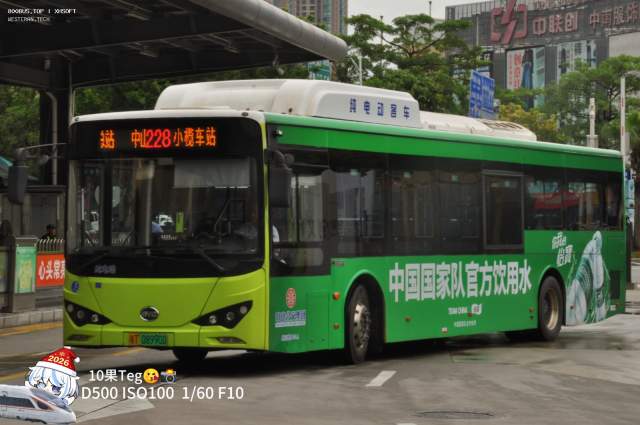 800BUS