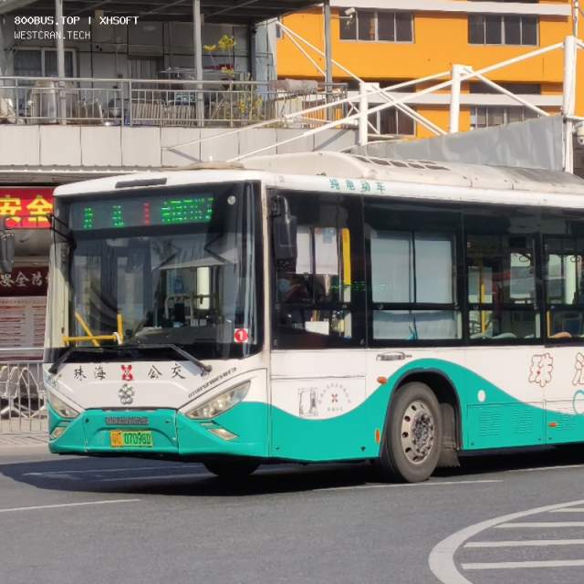 800BUS