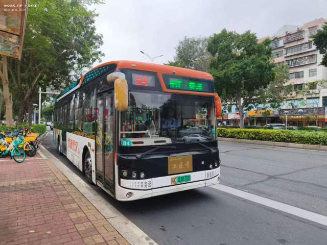 800BUS