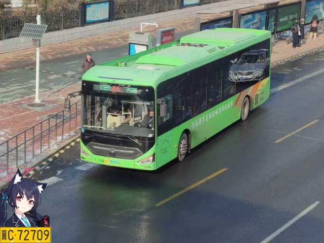 800BUS