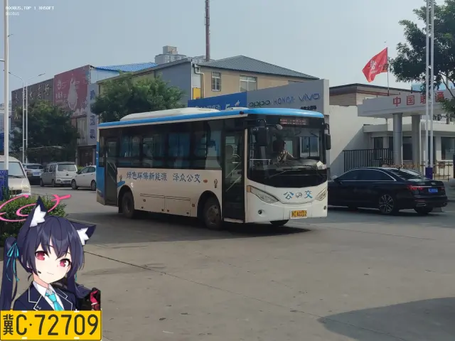 800BUS