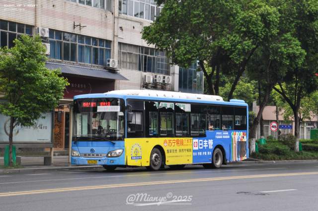 800BUS