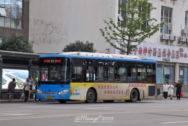 800BUS