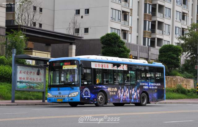 800BUS