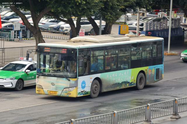 800BUS