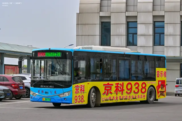 800BUS