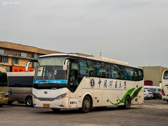 800BUS